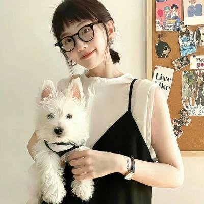 大宋探案局